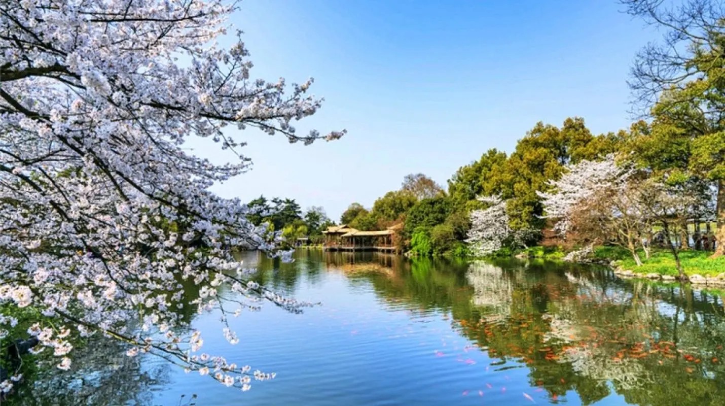 湖南垃圾桶 湖南垃圾桶